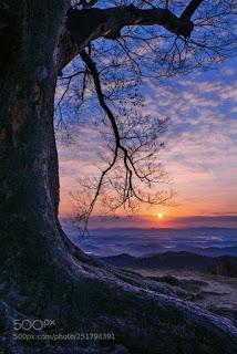 MIENTRAS TODOS DORMÍAN...