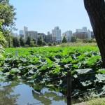 El Parque Ueno