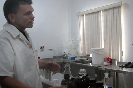 Apicultura cubana renace gracias a la ciencia