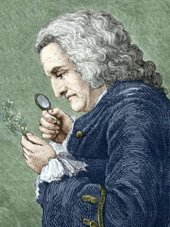 La increíble historia de Francisco Hernández de Toledo 1571…la primera expedición científica de la historia moderna (y IV)