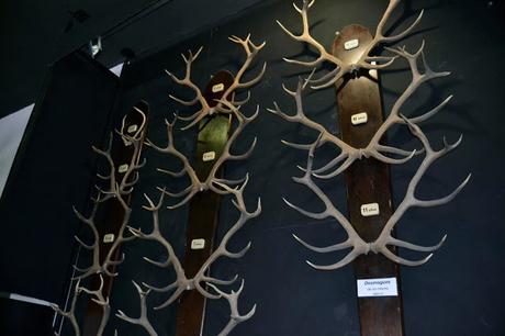 RUTA EN COCHE POR LA SIERRA DE CAZORLA, SEGURA Y LAS VILLAS