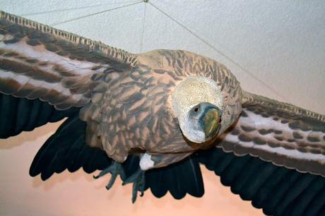 RUTA EN COCHE POR LA SIERRA DE CAZORLA, SEGURA Y LAS VILLAS