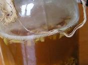 Cómo fermentar Jengibre para poder hacer bebidas.