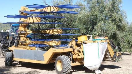 La máquina definitiva para el olivar