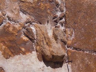 Imagen del mes: Logia renacentista del Palacio de los Condes de Osorno, en Pasarón de la Vera