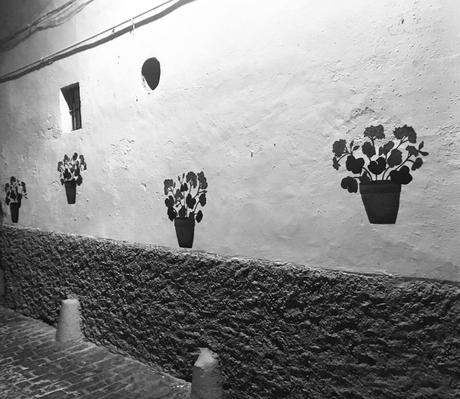 No hay texto alternativo automÃ¡tico disponible.