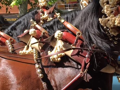 Enganche de media potencia (fotografía)