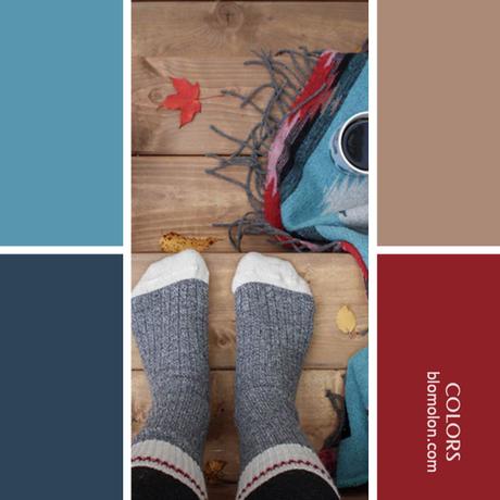 Variedad En Color 10 Paletas