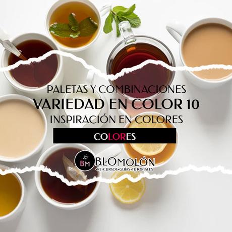 Variedad En Color 10 Paletas