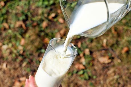 La leche nutricional para el adecuado desarrollo del niño