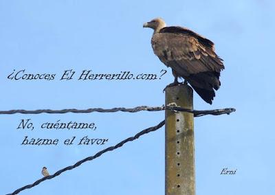 PROMOCIÓN DE LA PROMOCIÓN