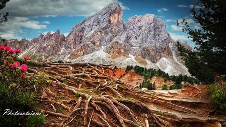 Il Venerdí di Photosatriani N. 175