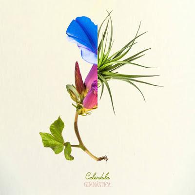 Gimnástica: Caléndula es su nuevo vídeo/single Gimnástica: Caléndula es su nuevo vídeo/single