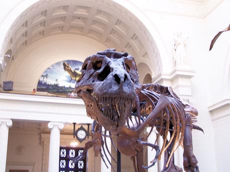 10 cosas Que Ver en Chicago imprescindibles 10 cosas Que Ver en Chicago imprescindibles