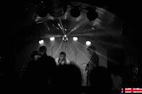 Screams on Sunday en El perro de la parte de atrás del coche Screams on Sunday en El perro de la parte de atrás del coche