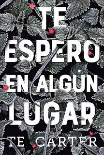 Te espero en algún lugar