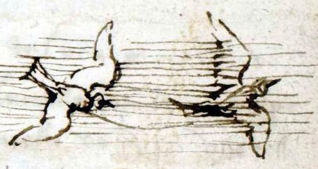 Dibujo del Códice sobre el vuelo de los pájaros