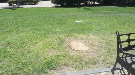 UNA BASURA DE VERANO 2018