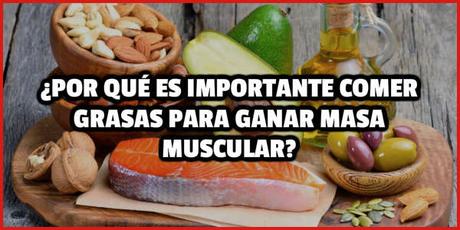 ¿Por qué es importante comer grasas para ganar masa muscular?