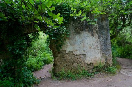 RUTA SENDERISTA DEL RÍO MAJACEITE