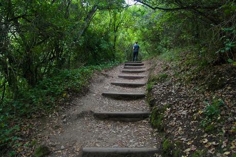 RUTA SENDERISTA DEL RÍO MAJACEITE