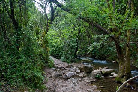 RUTA SENDERISTA DEL RÍO MAJACEITE