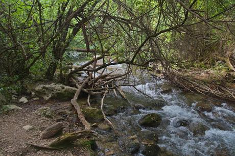 RUTA SENDERISTA DEL RÍO MAJACEITE