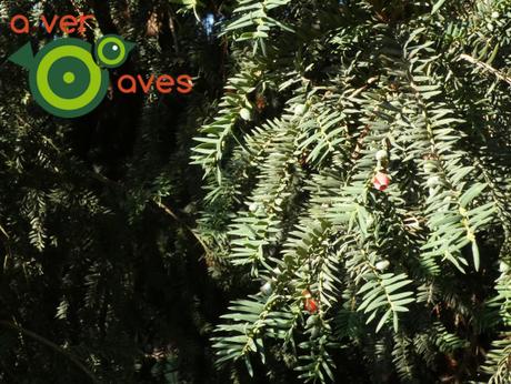 Parque del Oeste: rico compendio de historia y aves