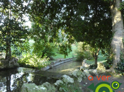 Parque Oeste: rico compendio historia aves