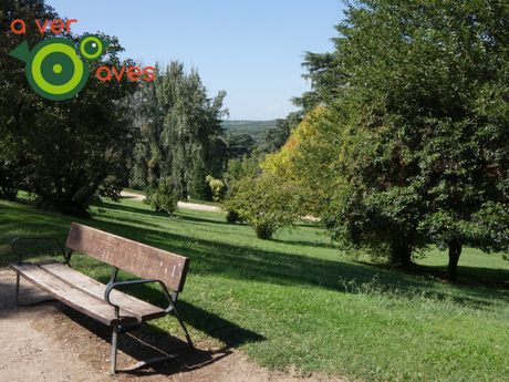 Parque del Oeste: rico compendio de historia y aves