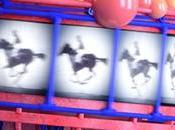 Animario llenará Madrid buena animación