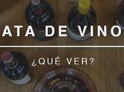 Cata vino: ¿Qué vemos?