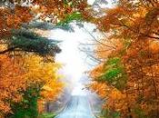Consejos para conducir otoño