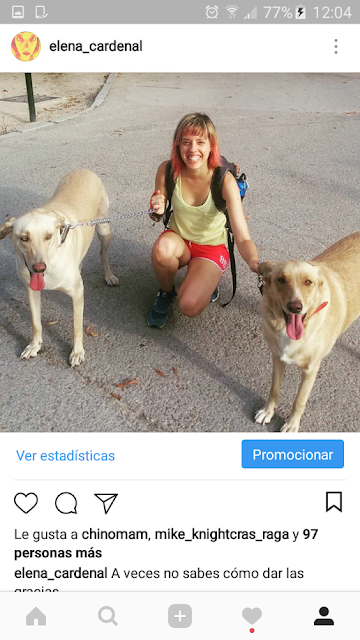 2017 en imágenes