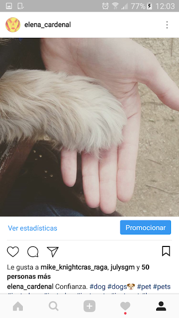 2017 en imágenes