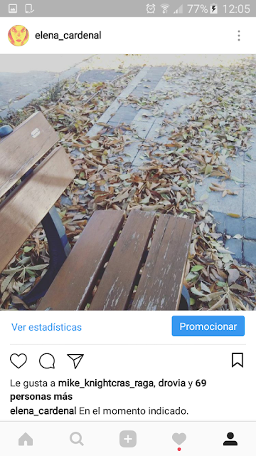 2017 en imágenes