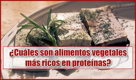 Conoce los alimentos vegetales que contienen mayor cantidad de proteínas
