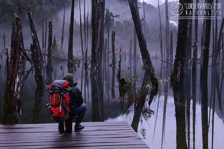 Un Perú reconectado con lo natural. Iniciativas de Conservamos por Naturaleza