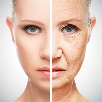 8 Beneficios de la equinacea como remedio natural 8 Beneficios de la equinacea como remedio natural