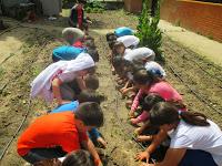 CALENDARIO BÁSICO DEL HUERTO ESCOLAR