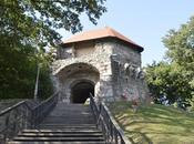 Fortaleza Visegrád