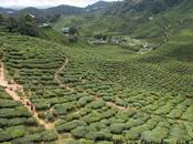 Periplo estival 2018.- Mediterráneo Estrecho Malaca.-VIVENCIAS MALASIA SINGAPUR