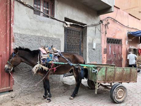 Fabtravels: Marrakech (4ª Parte)