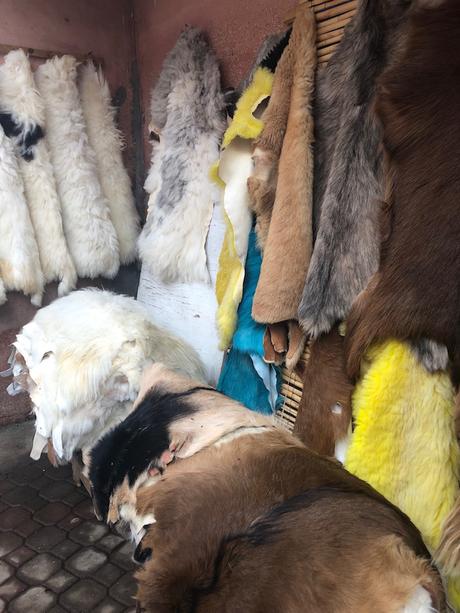 Fabtravels: Marrakech (4ª Parte)