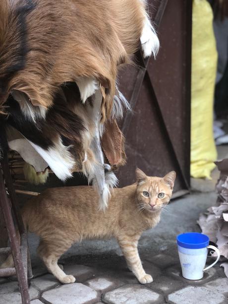 Fabtravels: Marrakech (4ª Parte)