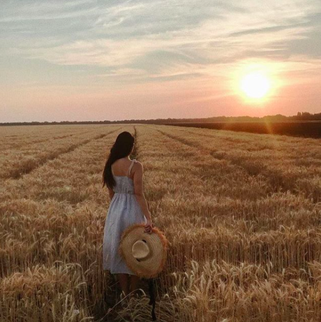 Los elementos que entorpecen tu vida Los elementos que entorpecen tu vida