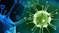 La Respuesta Inmune se ajusta a la Replicación y Propagación del Virus
