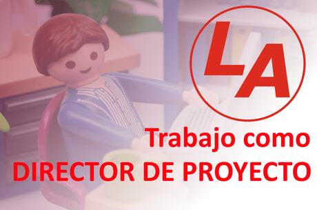 Trabajo como Director de Proyecto