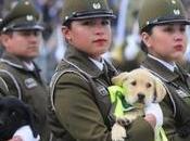 VIDEO: Revisa Parada Militar completa estas Fiestas Patrias 2018