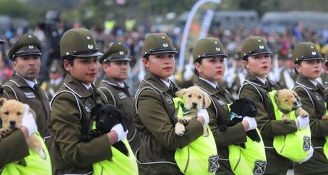 VIDEO: Revisa la Parada Militar completa de estas Fiestas Patrias 2018